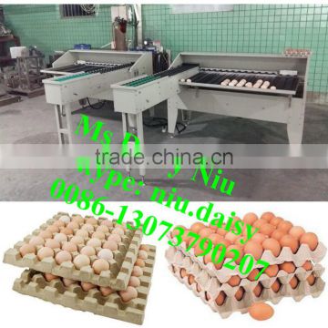 automatic egg grader/egg grading machine/egg grading packing machine