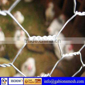 ISO9001:2008 high quality,low price,hexagonal galvanized wire mesh for chicken(professional factory)