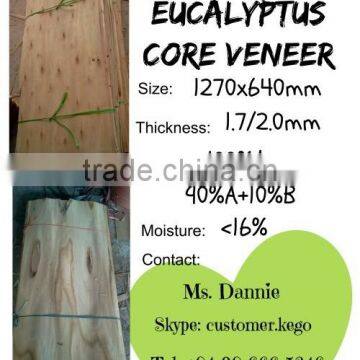 100% A grade Veneer Eucalyptus for India market