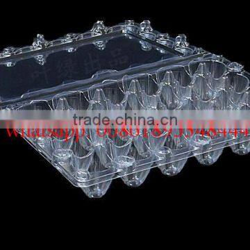 24 Holes Rectangular Clear Transparent Plastic Quail Egg Cartons, Plastic Quail Packing Tray 24eggs photo-2