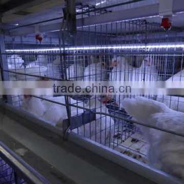 Breeder Battery Cages