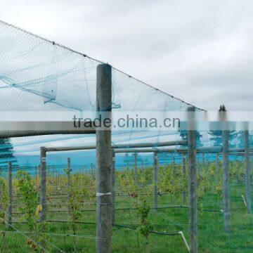 White crystal Color Raschel knitted Polyethylene Agriculture Anti Hail Net/Hail Protection Net