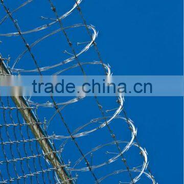 (high Quality)Galvinized Razor Barbed Wire(factory) photo-4