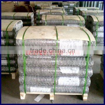 Electro Galvanized Hexagonal Wire Netting 1mx50m per roll