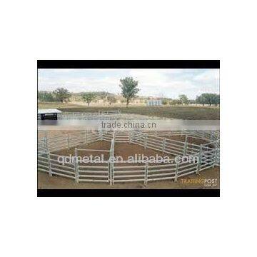 Portable Livestock Cattle Panel photo-4