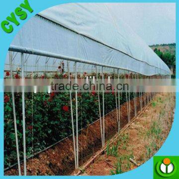 Greenhouse Film Factory Supply Agricultural Anti-uv Greenhouse Plastic Film Cover photo-5