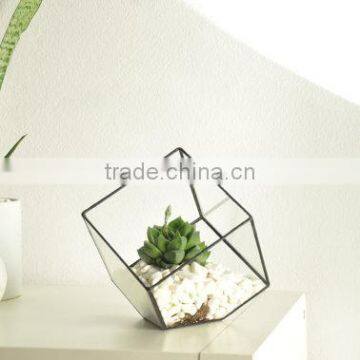 Indoor Gardening Geometric Glass Terrarium Container Succulent Planter photo-3