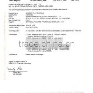 SGS Certificate Page 1 EN