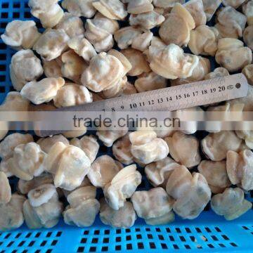 Frozen Boiled Baby Clam Meat photo-4