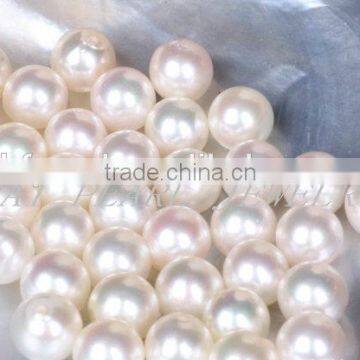 AA grade wholesale loose Akoya pearls size 8-8.5mm