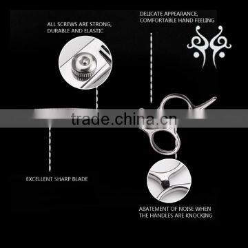 Hot Selling Promotional Hair Scissors Set, 6 Inch Hair Cutting and Thinning Shears photo-4