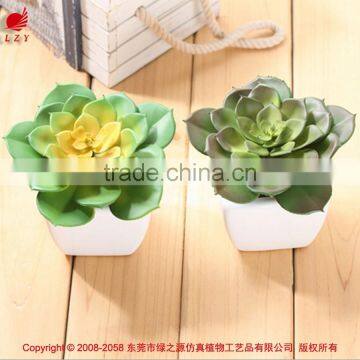 Artificial Succulent Plants Mini Artificial Plants Potted Artificial Mini Succulent Plants photo-4