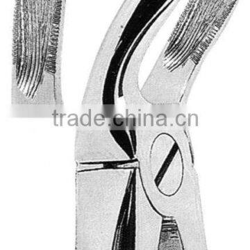 Hot Dental Extracting Forceps