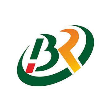 Borui Precision Techinic Co., Ltd