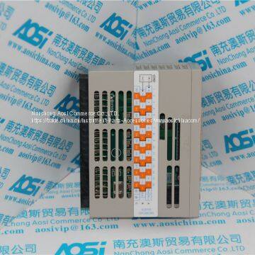 HART Analog Input Electronic Module/Personality Module