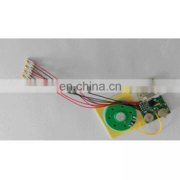 push button custom sound recording module