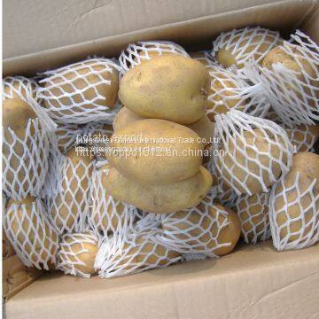 Fresh Potato photo-2