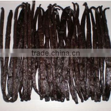 high grade authentic madagascan vanilla beans Africa wholesale price