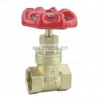 Needle Gas Foot Brass Valve