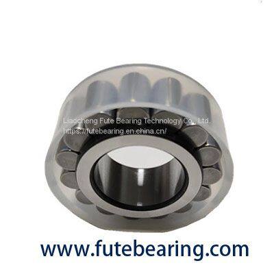 F-202808 bearing INA Hydraulic Pump Bearings