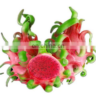 Dragon fruit in Vietnam is rich in nutrients at the best price