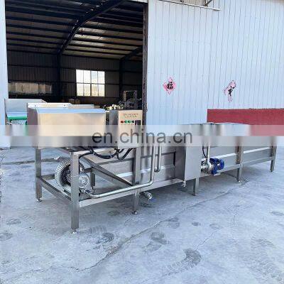 Air Bubble Leafy Automatic Washer Fruit And Vegetable Clean Production Line Vegetable Wash Machine Industry photo-3