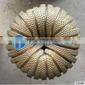 China PDC drill bits , high quatity 6 inch PDC tricone bits