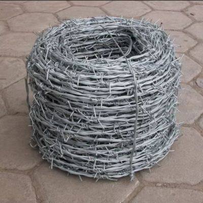 Double-Coil Barbed Wire Hot Dipped Galvanized Barbed Wire Double