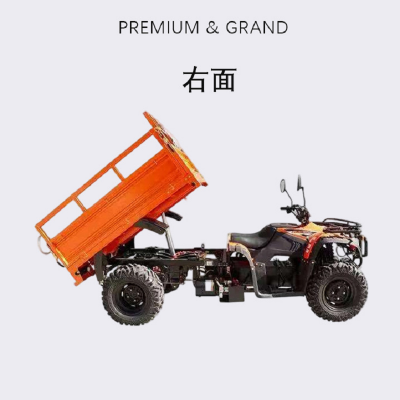 350cc Fuel All Terrain Vehicle Off-road Four-wheel Motorcycle ATV Mountain Beach Bike Gasoline Four-wheel Drive Agricultural Vehicle photo-5
