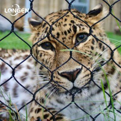 Free Provision of Stainless Steel Zoo Mesh Samples