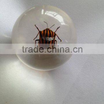 Professional Wholesale Inflatable Clear Plastic Ball With Human Ember Embedded photo-6