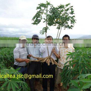 high quality tapioca starch, tapioca chip from Vietnam/ big quantity