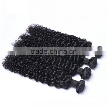 WJ002 5A Grade 100% Virgin Kinky Afro Curl Ombre Hair Extension Supplier's Choice photo-4