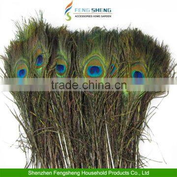 Lots Peacock Tail Feathers Natural 10-12inch Long For Bouquet DIY Decoration                        
                                                Quality Choice