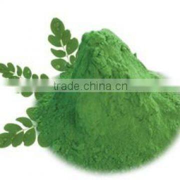 Moringa Leaf Powder