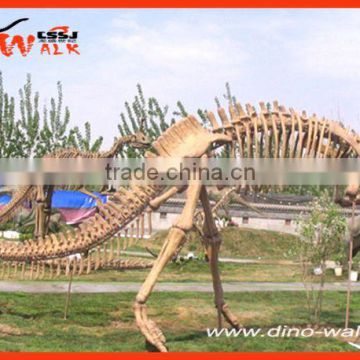 Outdoor Exhibition Artificial Resin Dinosaur Skeleton Model for Sale