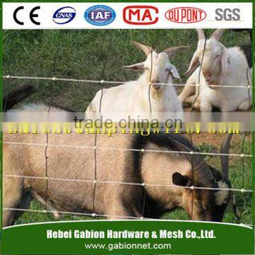 Livestock Fence/Cattle Panels/Goat Panels