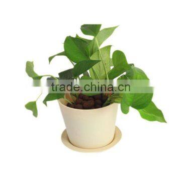 eco-friendly colorful plastic plant pot for nurseries                        
                                                Quality Choice