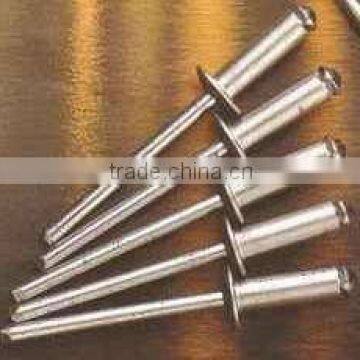 Blind Rivet/Steel Rivet/Aluminium Rivet