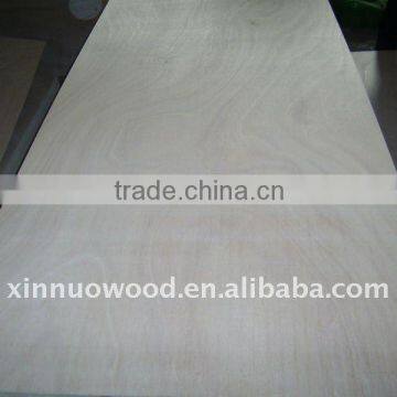 bingtangor ppoplar plywood