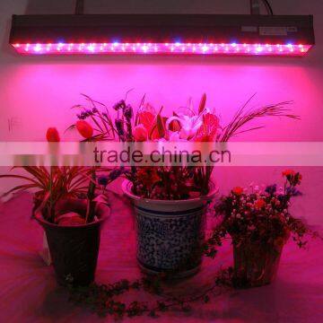 LED Grow Light