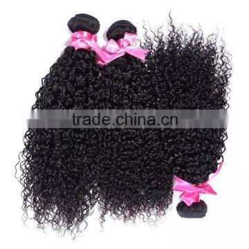 Brazilian Human Virgin Kinky Hairpiece Manufacturer Curly Wave Wholesale photo-2