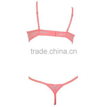 Sexy Lace Push up Bra and Panty New Design Ladies Lingerie photo-6