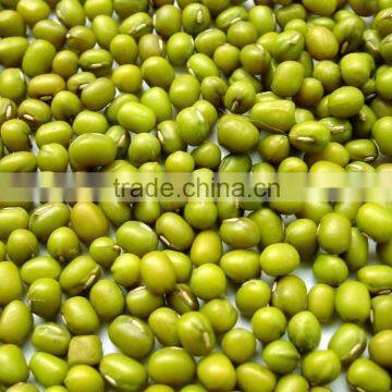 Green Moong Bean