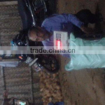 Semi Husked Cocount Good Qualityl photo-5