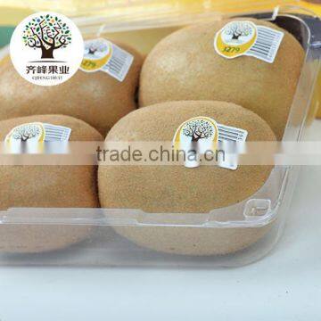 Organic and fresh kiwi