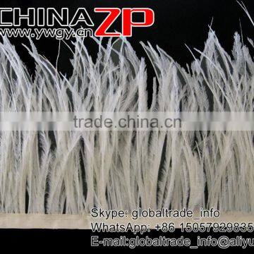 ZPDECOR No.1 Feather Supplier Feather Size 15-20 cm Beige Ostrich Feather Fringe photo-3