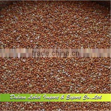 2016 red millelt/non glutinous millet