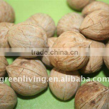 China organic walnuts in shell