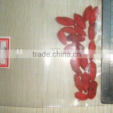 Ningxia Goji Berry photo-3